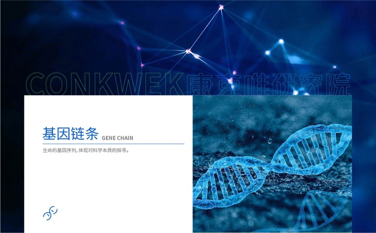 康克唯研究院｜品牌视觉全案设计 品牌视觉 / 品牌全案案例展示图4 王双品牌设计