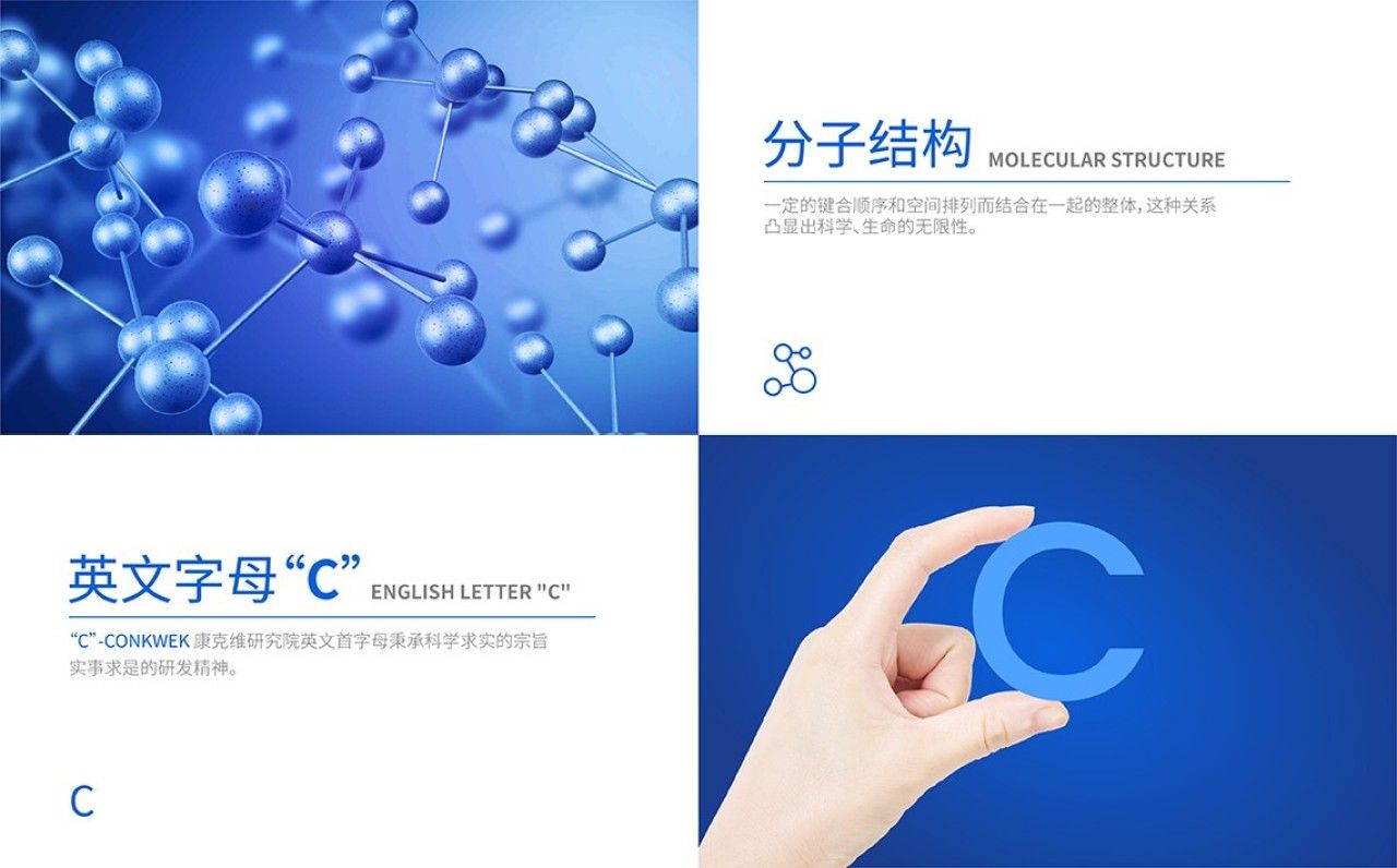 康克唯研究院｜品牌视觉全案设计 品牌视觉 / 品牌全案案例展示图5 王双品牌设计
