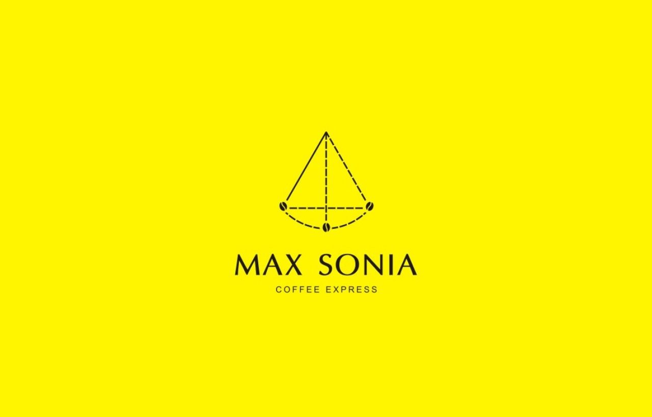 MAX｜品牌VI设计 品牌视觉案例展示图1 王双品牌设计