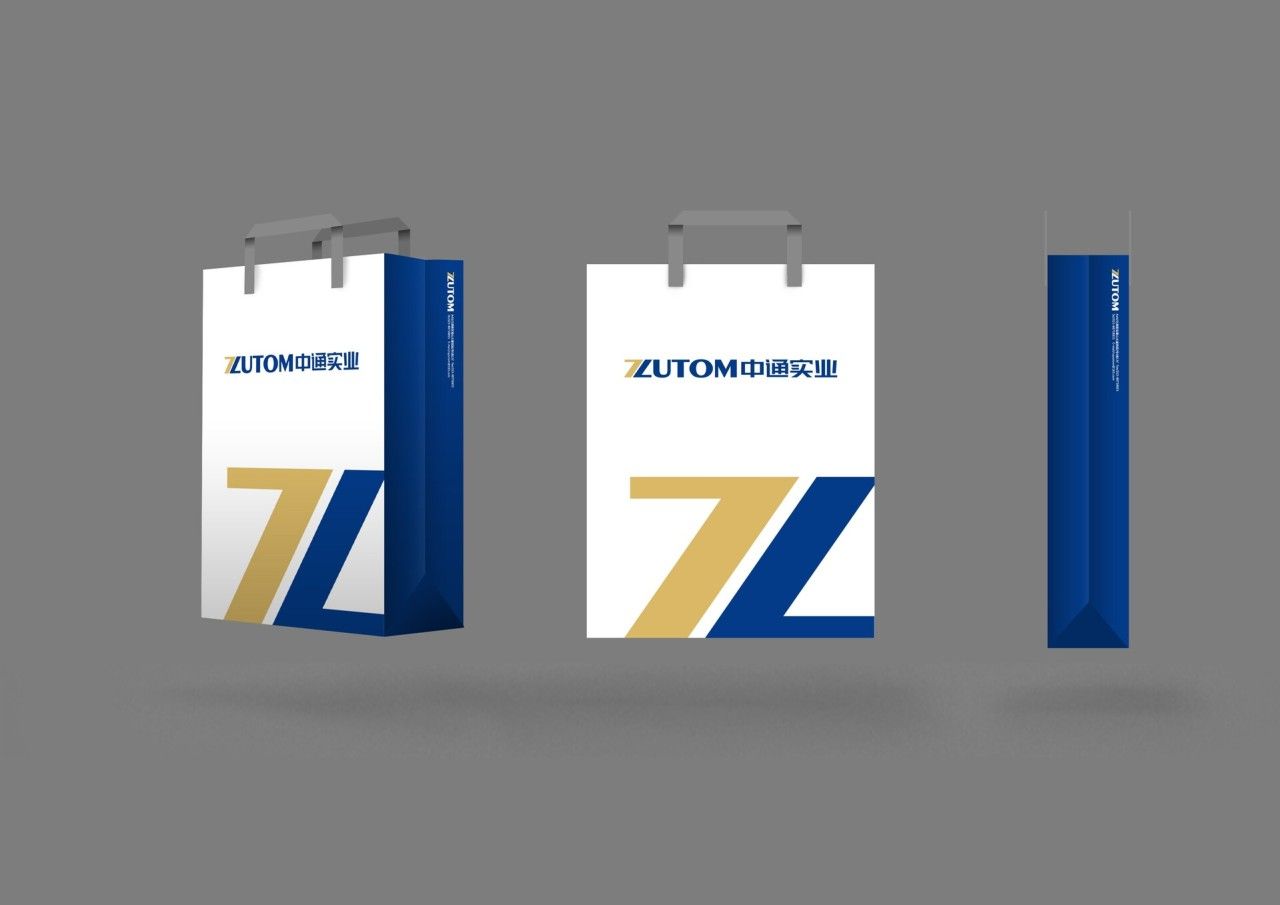 中通实业|品牌VI设计 品牌视觉案例展示图7 王双品牌设计
