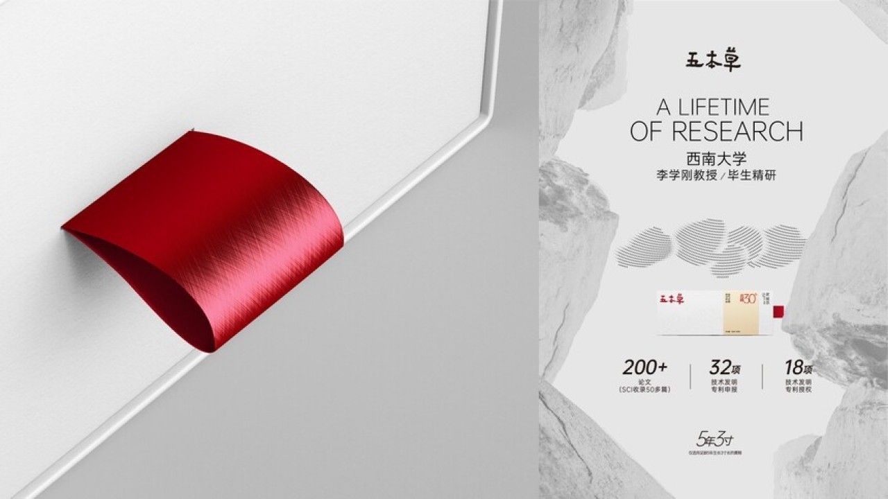 五本草黄精茶 品牌视觉 / 品牌全案案例展示图5 王双品牌设计