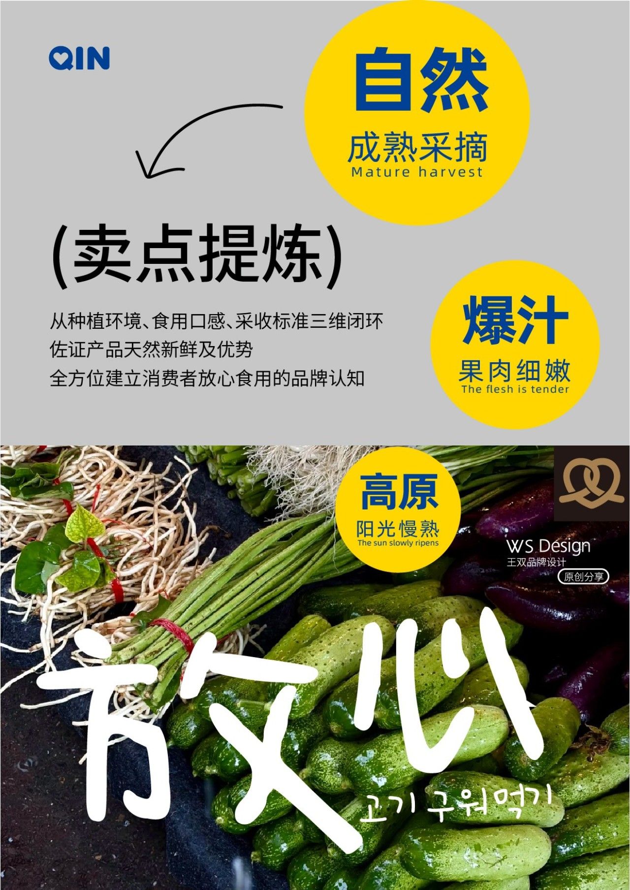 阿亲家｜品牌全案升级设计 品牌全案 / 品牌视觉案例展示图2 王双品牌设计