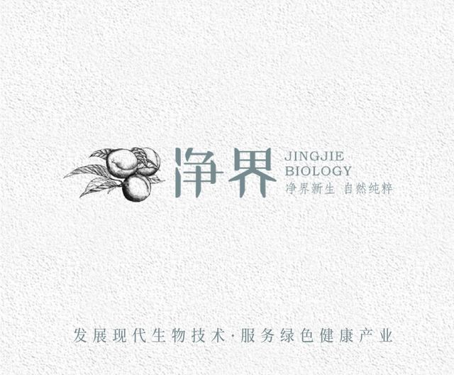 净界｜品牌VI设计 品牌视觉案例 王双品牌设计
