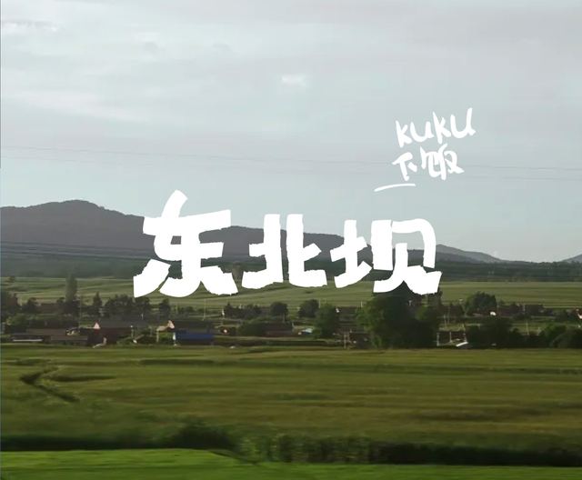东北坝｜品牌全案设计 品牌视觉案例 王双品牌设计